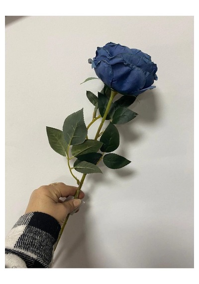 Mavi Austın Gülü 60cm Açık Saks Mavi