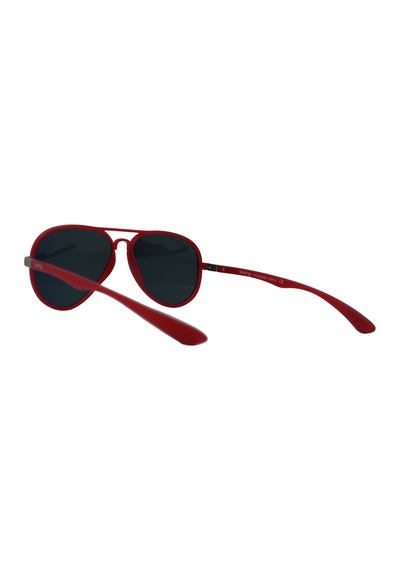 Swing Swing Güneş Gözlüğü Ss102 C69m-2