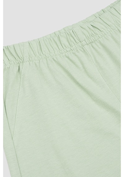 Erkek Çocuk Dinozor Baskılı Yeşil Pijama Takımı Çok Renkli