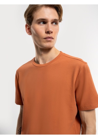 Regular Fit Erkek Tshirt K.kol Gınger
