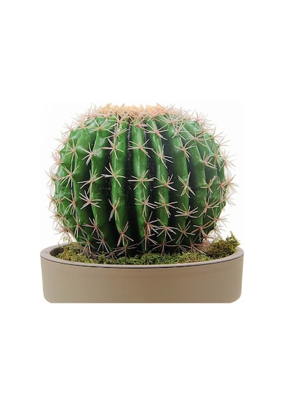 Yapay Altın Fıçı Barrel Kaktüs 47 Cm-2192