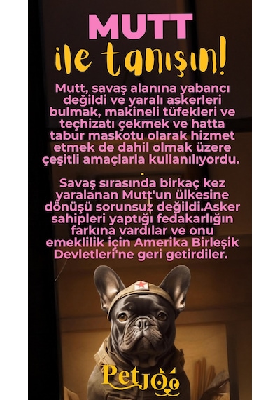 Petjoo 10.Mutt Sarı-Pembe Qr'lı Köpek Künyesi