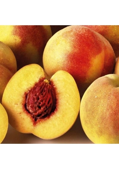 Tüplü Extra Erkenci Nisan Şeftalisi Flored Şeftali Fidanı