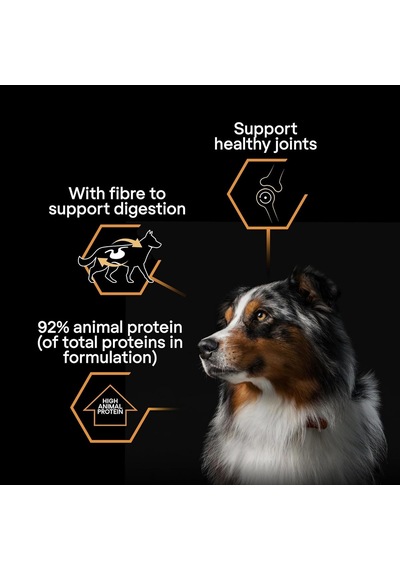 Yetişkin Köpekler İçin Hindili Konserve Yaş Mama 400 Gram