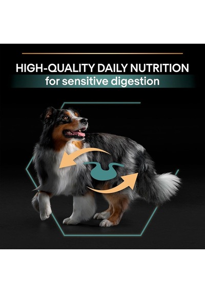 Medium Adult Kuzu Etli Köpek Maması 14 Kg