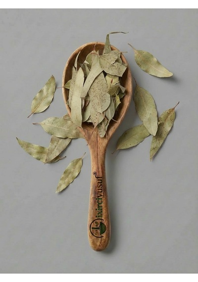 İxirciyusuf Okaliptus Yaprağı Okaliptüs Eucalyptus Leaf Eucalyptus Globulus Kurutulmuş Bitki 100 G Doğal