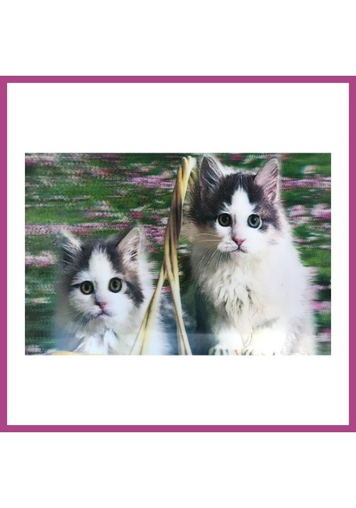 Gees Global 3 Boyutlu Resim Sevimli Kediler İkili Kedi Resmi Tablosu 40x60 Cm Gbzs