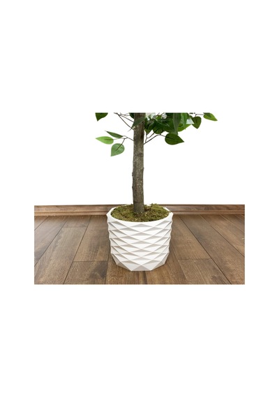 Yapay Benjami N Ağacı 160 Cm Beton Saksıda Beyaz