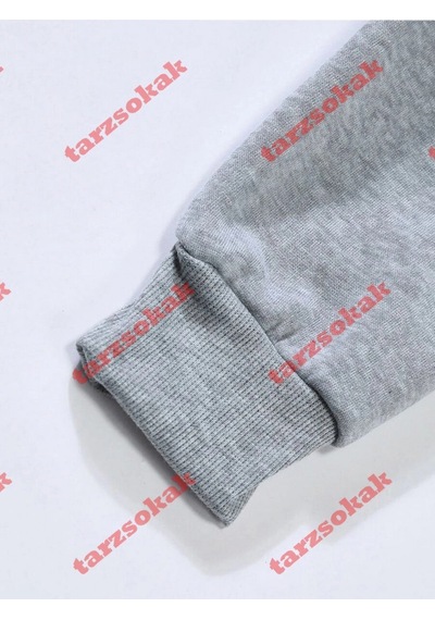 Startmore Tarzsokak Deniz Biyolojisi Balina Katili Baskılı Kapüşonlu Üstler Kadın Temel Gevşek Sweatshirtler Kışl Gri