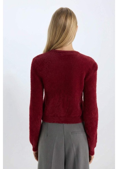 DeFacto Regular Fit Bisiklet Yaka Düğmeli Triko Bordo Hırka E2428AX24WNBR248 Bordo
