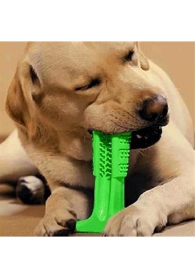 Köpek Diş Temizleyici Ve Kaşıyıcı Küçük Boy Sağlıklı Oyuncak