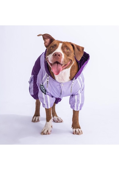 Pawstar Bicolor Lila-mor Polarlı Su Geçirmez Orta-büyük Irk Köpek Yağmurluk Tulum