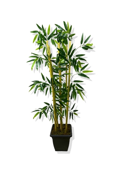 Cihan Çiçekçilik Yapay Bambu Ağaç 110 Cm 5 Bambulu Siyah Saksı Beyaz- Yeşil