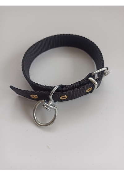 Kozaklı Küçük Irk Köpek Tasması Siyah 50 x 2.5 CM Siyah