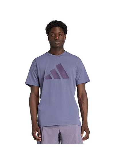 Adidas Tr-es Fr Logo T Erkek Antrenman Tişörtü Jw7402 Mor Mor