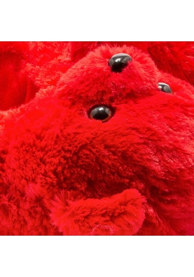 Twigy Teddy Kadın Hayvanlı Panduf Kırmızı 36/41 Kırmızı