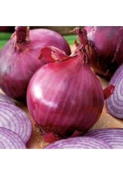 50 Adet Tohum Organik Amasya Kışlık Kuru Soğan Tohumu Yeni Hasat