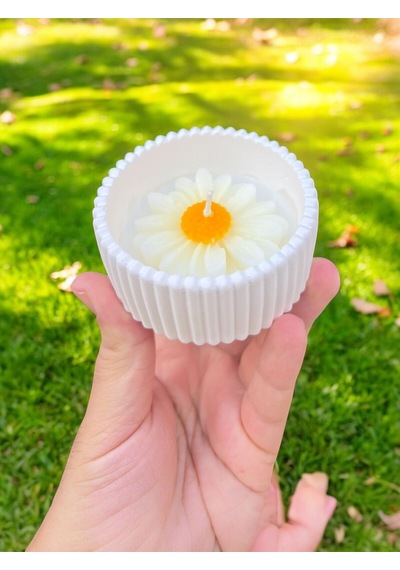 Bernami Biblo Pinterest 2'li Mini Saksı Papatya Çiceği Temalı Kokulu Mum Seti Hediyelik