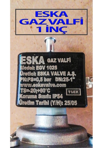 Doğalgaz Gaz Valfi 1 İnç Selonoid Vana