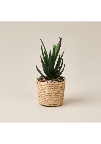 Deco Hasır Saksı Yapay Aloe Vera - Bej / Yeşil - 14x6 Cm Çok Renkli