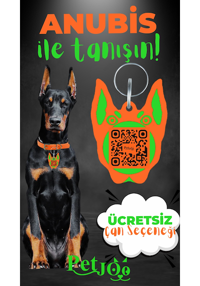 Petjoo 30.Anubis Yeşil-Turuncu Qr'lı Köpek Künyesi