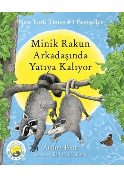 Minik Rakun Arkadaşında Yatıya Kalıyor - Kyut-877030