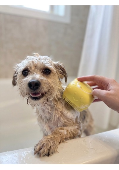 Şampuan Hazneli Kedi Köpek Yıkama Fırçası - Canlı Sarı Yumuşak Silikon Masaj Aparatı