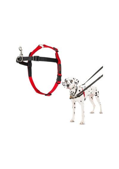 Company Of Animals Halti Köpekler İçin Önden Kontrollü Göğüs Tasması, Orta Boy