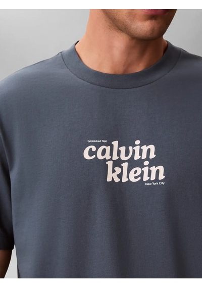 Calvin Klein Ss 20s Calvınkleın T, Ceg Gri Erkek T-shirt