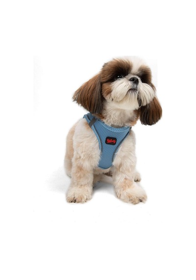 Tailpetz Air-mesh Göğüs Tasması 3xs Mavi, S Sku: Zeusb07q2k7jsw Açık Bej - Bej