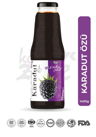 Âlâ Karadut Özü Konsantre 1400 Gr.