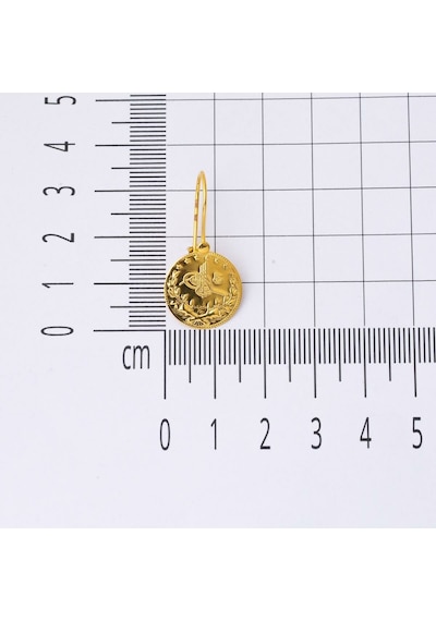 Bilezikci 14 Ayar Altın Tuğralı Küpe KPEGS14K22403