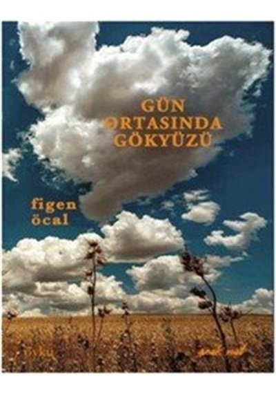 Gün Ortasında Gökyüzü - Figen Öcal - Sıcak Nal