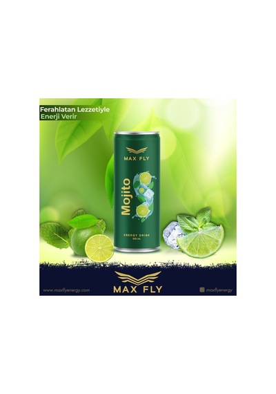 Max Fly Mojito Enerji İçeceği 250 Ml 24 Adet