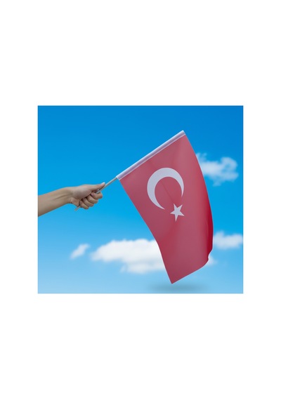 20 Adet 30x45 Cm Sopalı Bez Türk Bayrağı Kaliteli Alpaka Kumaş 30 x 45 CM