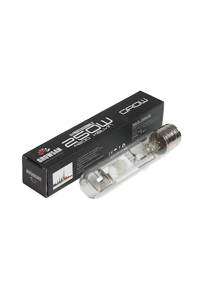 Growsan 250w MH Gelişim Dönemi