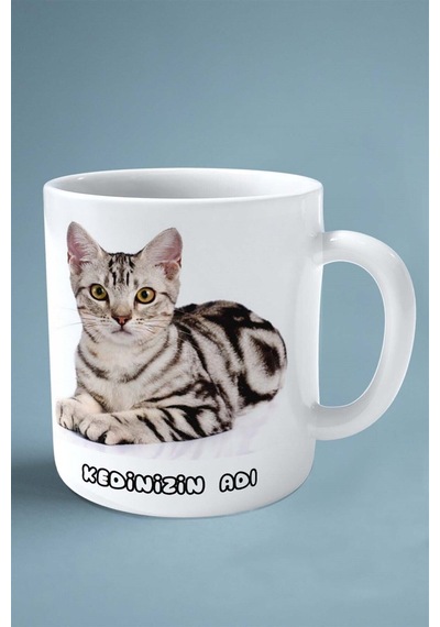 American Shorthair Kedi İsimli Kişiye Özel Baskılı Kupa Bardak Model 1 Çok Renkli