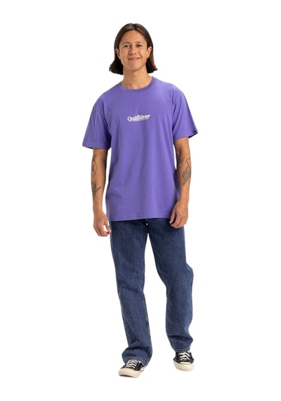 Quıksılver Quiksilver Fineline Erkek Mor Tişört Pmg0 Mor