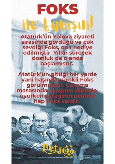 Petjoo 29.Foks Sarı-Kırmızı Qr'lı Köpek Künyesi