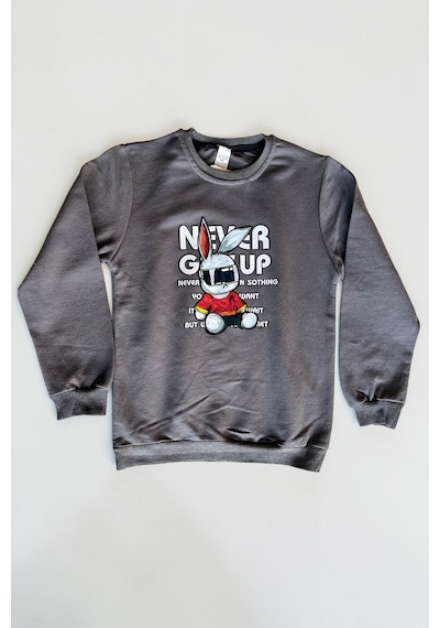 Minik Motion 3'lü Set Çocuk Baskılı 2 İplik Penye Sweatshirt Füme - Kırmızı