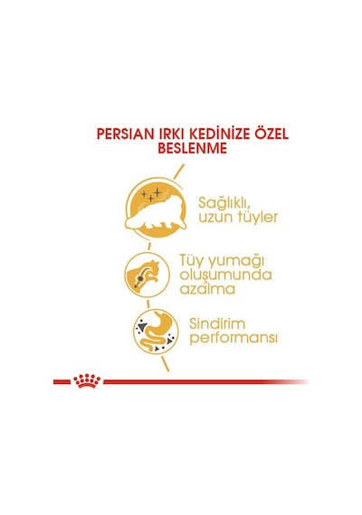 Royal Canin Adult Persian Yetişkin Kedi Maması 4 KG