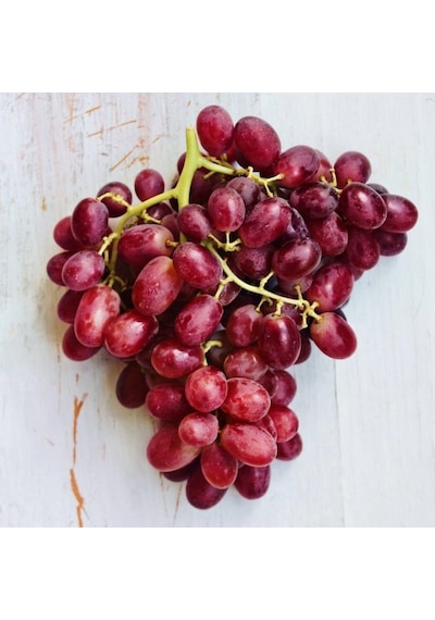 Tüplü Crimson Seedless Çekirdeksiz Üzüm Asma-Bağ Fidanı