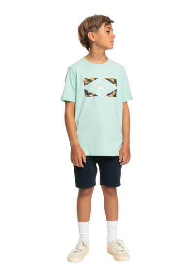 Quiksilver Cırcledlıne B Tees Turkuaz Mint