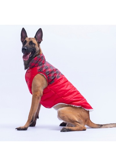 Kırmızı Plaid Ekose Desen Yelek Büyük Irk Köpek Yeleği Köpek Kıyafeti Köpek Yağmurluk