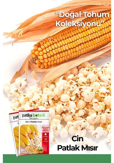 40 Adet Ata Tohumu Yerli Cin Mısır Popcorn