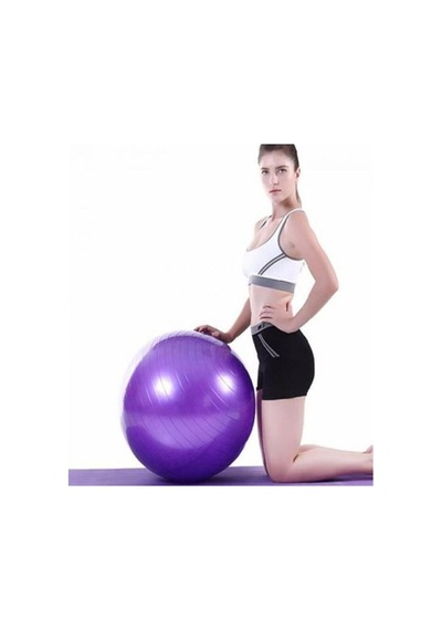 Ayla Stand 65 Cm Fitilli Pilates Topu, Pompa Seti, Mor, Denge Yoga Spor Egzersiz