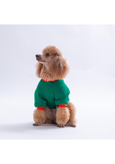 Yeşil Tigger Grove Köpek Sweatshirt Köpek Sweat Köpek Kıyafeti Kedi Kıyafeti