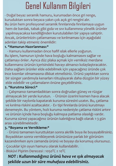 Beyaz Seramik Hamuru 6 Kg Kil Ebeşuar Seti 6x15 Ml Akrilik Set 100 Ml Vernik Ahşap Merdane Zımpara Çok Renkli