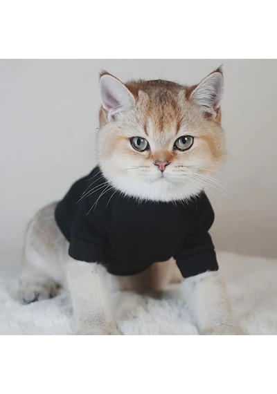 Kedi Ve Köpek İçin The Angel Kapüşonlu Siyah Sweatshirt