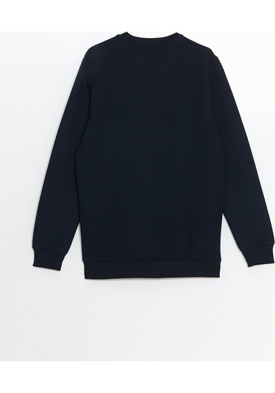 Lcw Vision Lacivert Bisiklet Yaka Uzun Kollu Erkek Sweatshirt